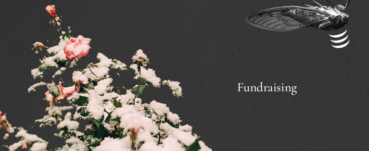 Fundraising