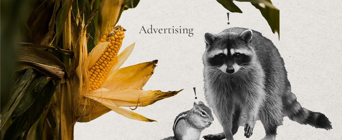 Advertising